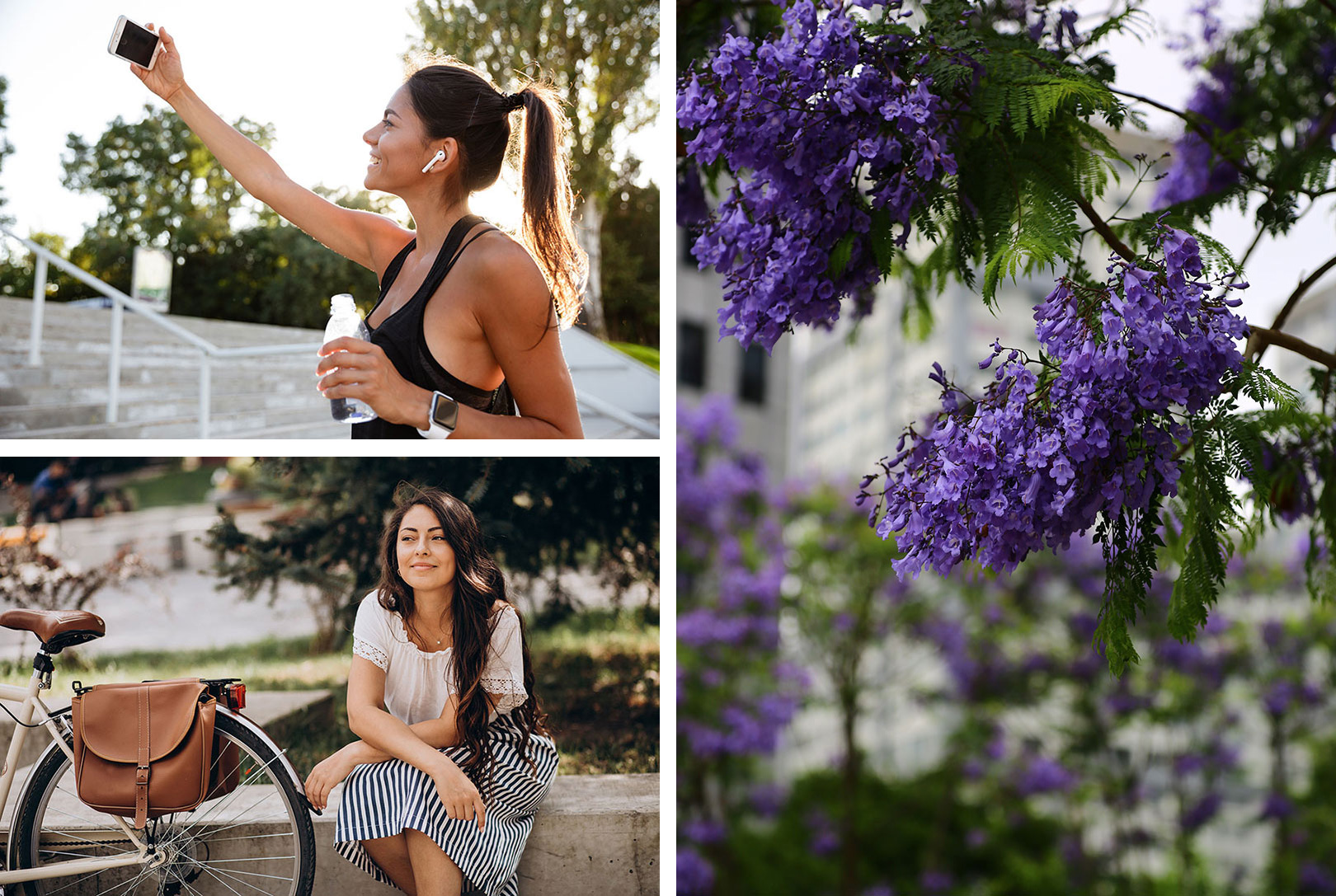 Praderas del Plata - Comercial